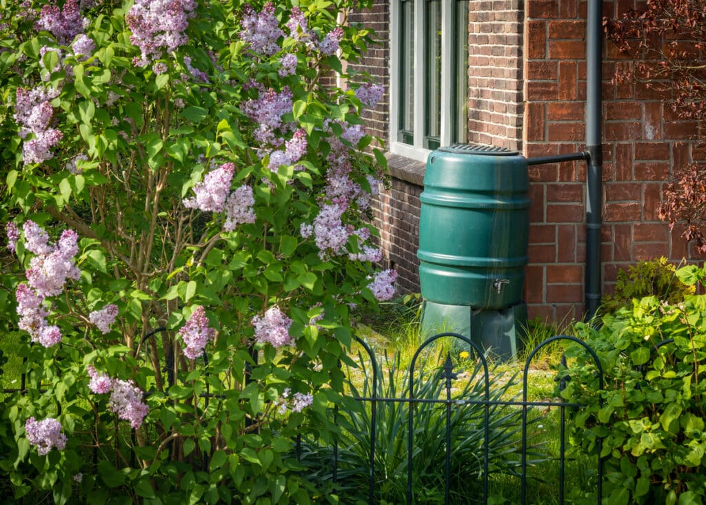 Collecting Rain Water to Avoid Water Issues Outside Western Colorado Home