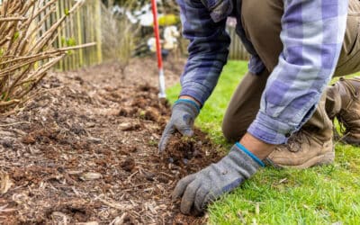 8 Landscaping Tips to Keep Groundwater Away From Your House