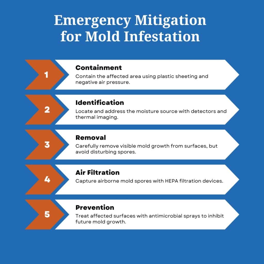 How to Perform Emergency Mitigation for Mold