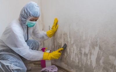 Getting Rid of Mold