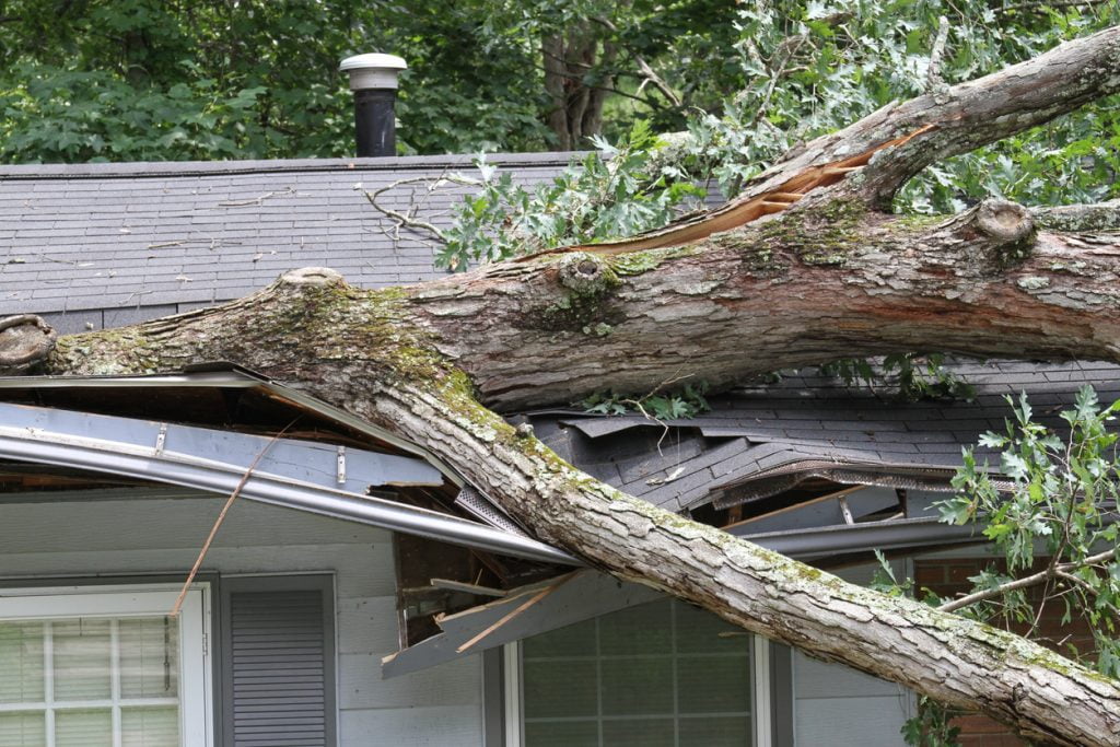 Tree falling on roof | Winter-proof your home | Valley Restoration and Construction