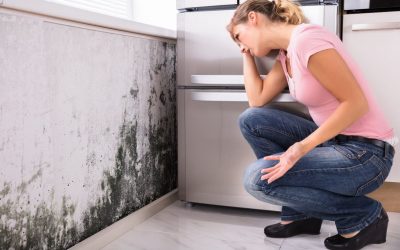 Protect Your Home from Mold