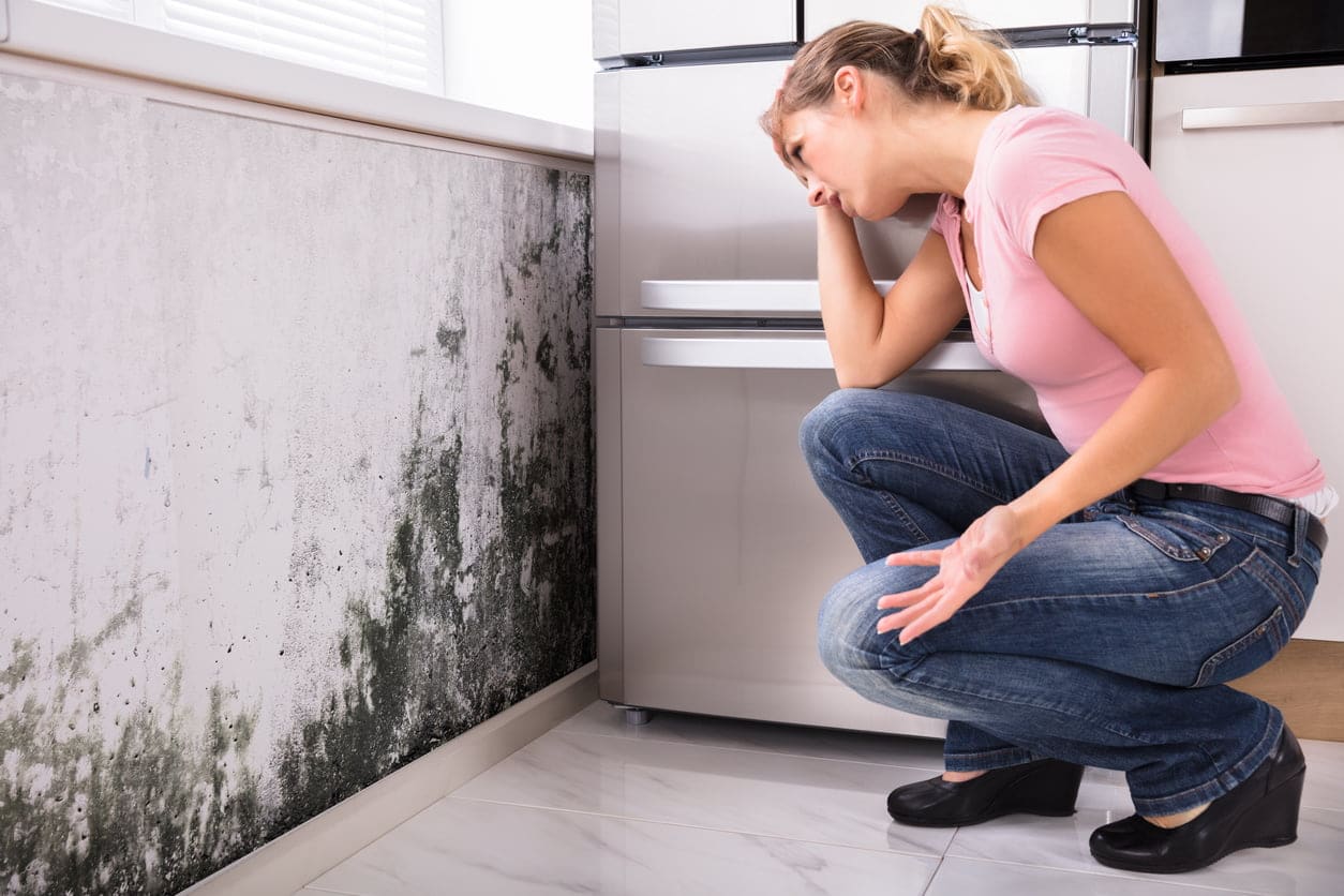 Protect Your Home from Mold | Valley Restoration and Construction