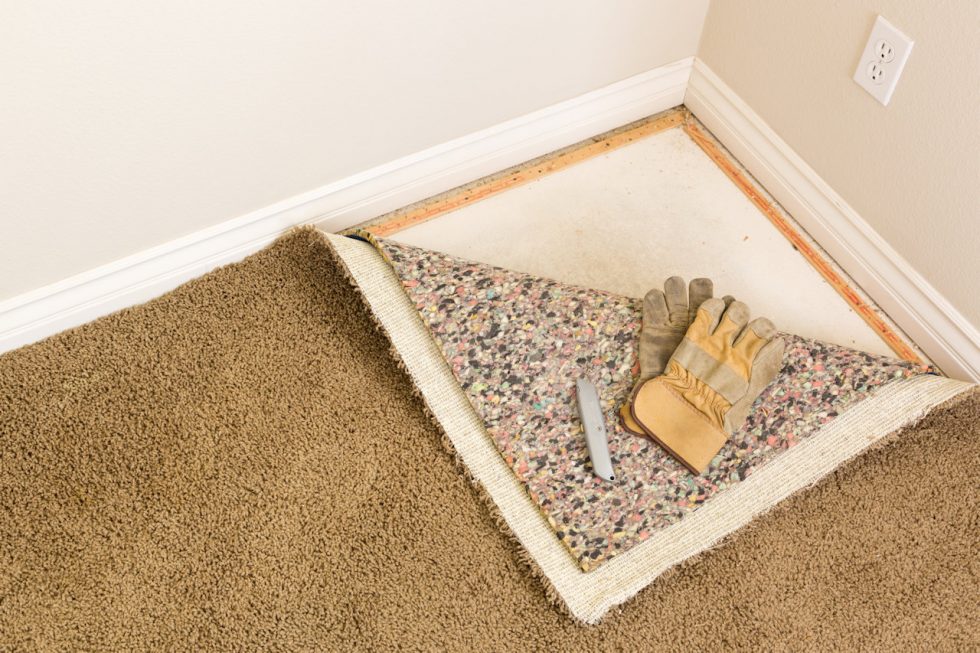 Mold damage can destroy your carpets. Find out how to fight it here