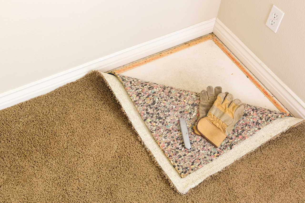 Get Mold off Your Carpet | Valley Restoration and Construction