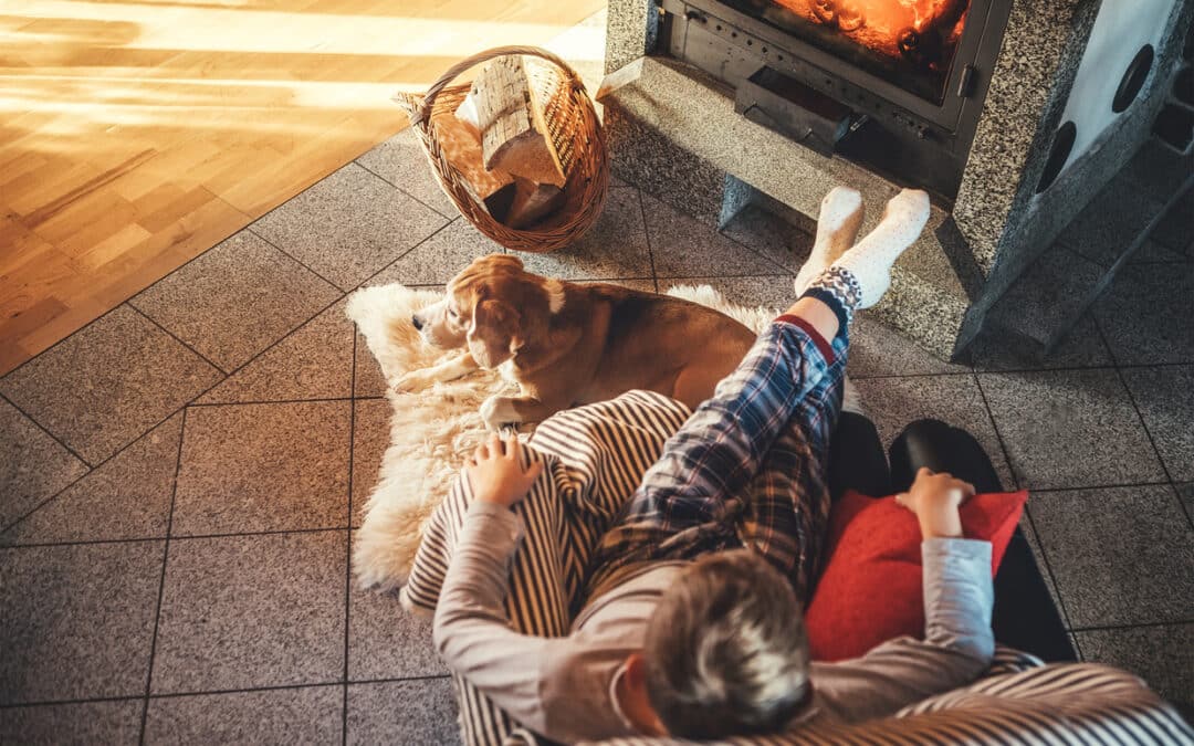 Pet and Owner Sitting By Fire Inside House