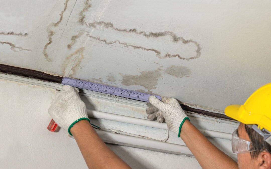 Person assessing water stains on ceiling of home.
